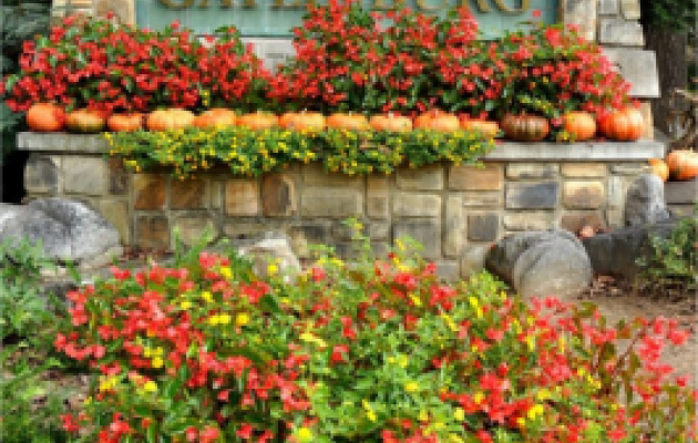 GAT-9